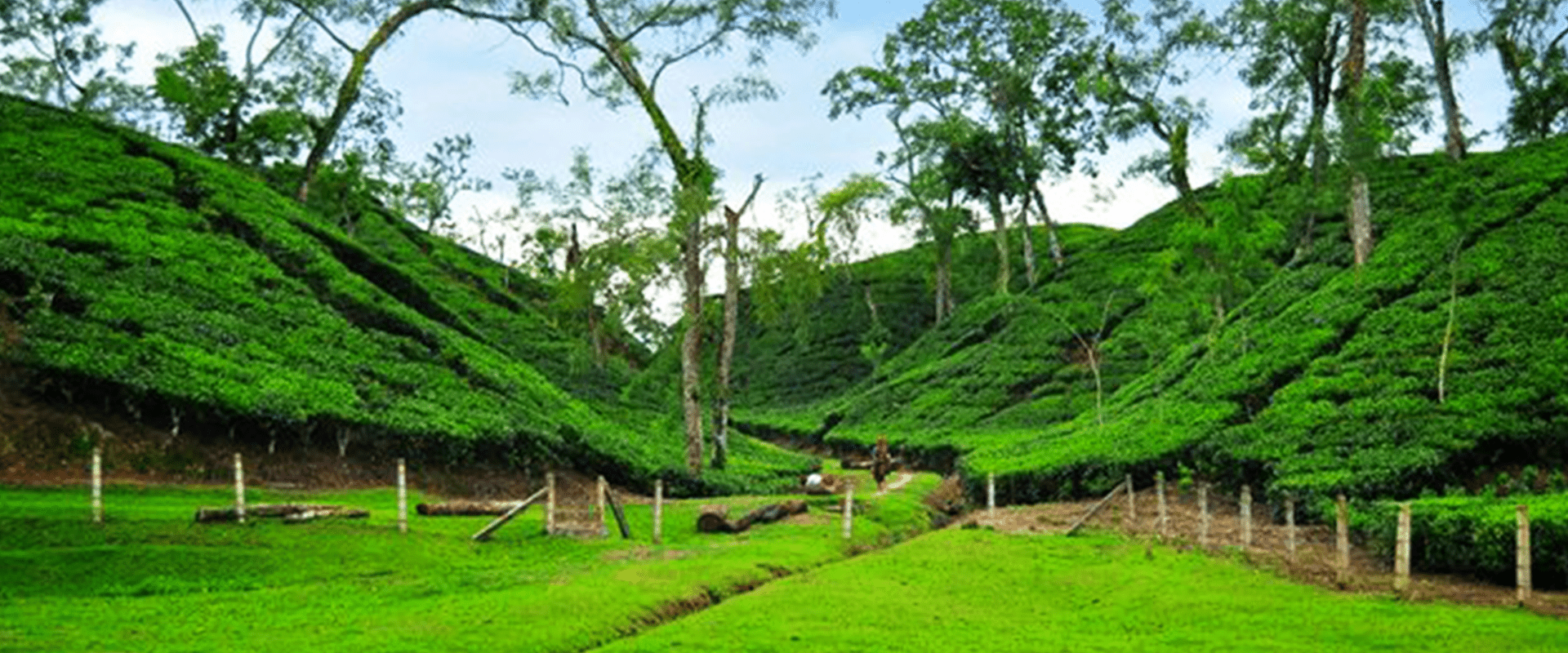 Cheap Flights to Sylhet