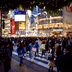 Tokyo-Air travel markets