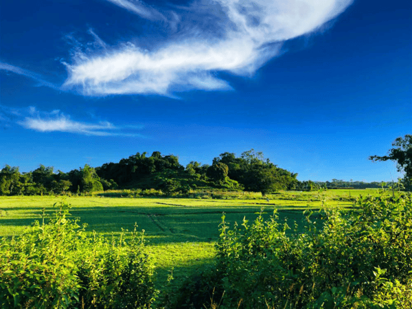 the beauty of Bangladesh