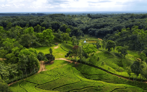 Sylhet Stunning Locations