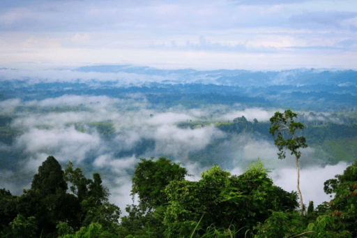Sylhet natural wonders